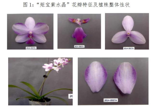 https://tmimage2.kangxin.com/group1/M00/1A/79/wKgKIWjwt6-AFGz0AAMdETYB-xw775.png tu 1.png