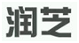 https://tmimage2.kangxin.com/group1/M00/50/08/wKgKIV4cGe2AObywAAAZn0I-zzA027.png