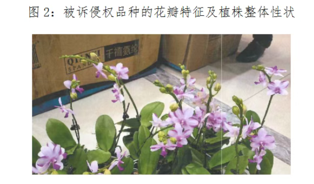https://tmimage2.kangxin.com/group1/M00/CE/B0/wKgKIWjwt8aALGT6AAPRuWEIuVM212.png 图片2.png